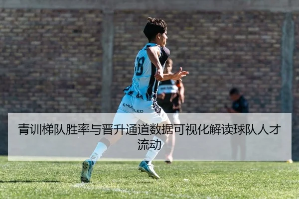 青训梯队胜率与晋升通道数据可视化解读球队人才流动